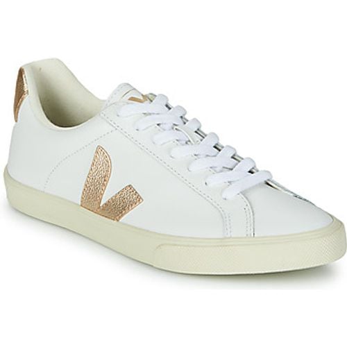 ESPLAR LOGO women's Shoes (Trainers) in - Veja - Modalova