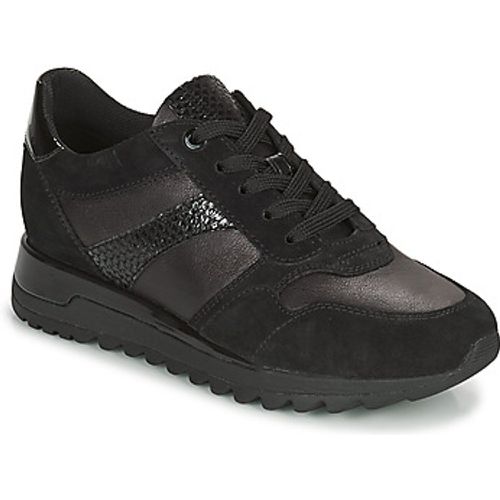 TABELYA women's Shoes (Trainers) in - Geox - Modalova