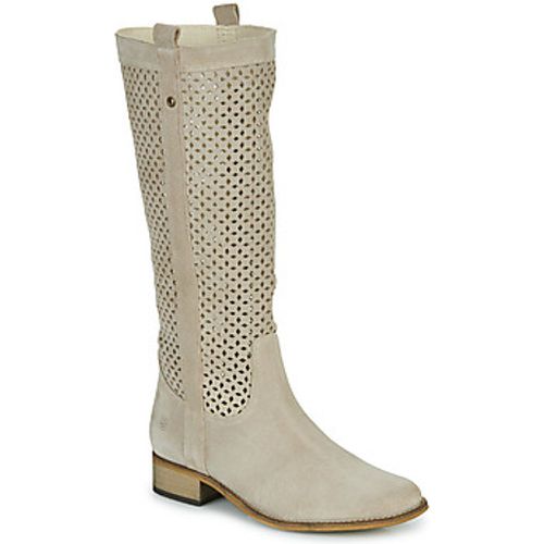 DIVOUI women's High Boots in - Betty London - Modalova