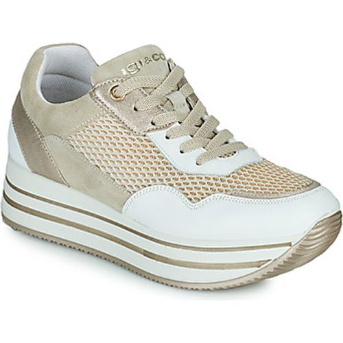 IgI&CO 1661900 women's Shoes (Trainers) in - IGI&Co - Modalova