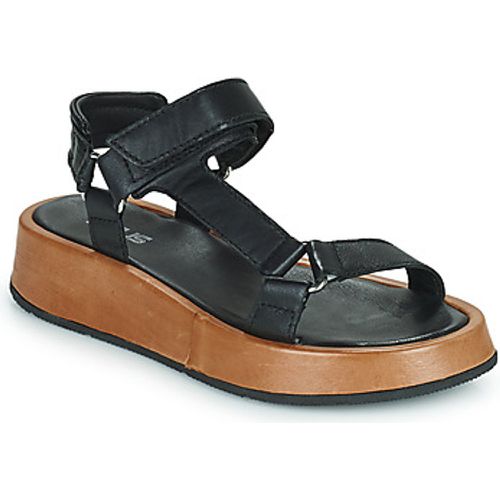 ACIGHE TREK women's Sandals in - MJUS - Modalova