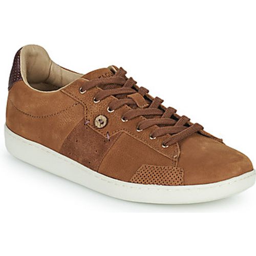 HOSTA men's Shoes (Trainers) in - Faguo - Modalova