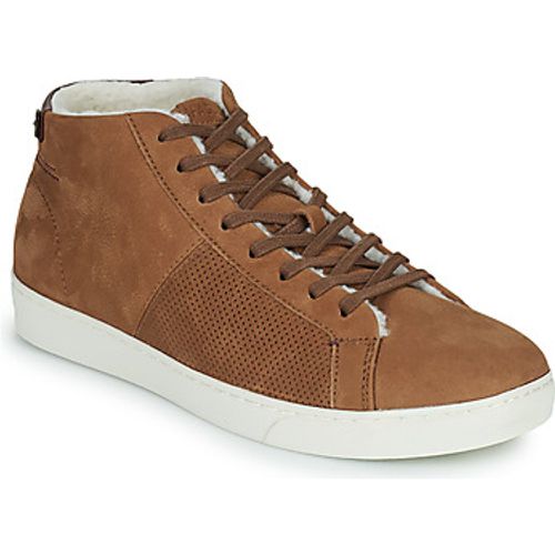 ASPEN men's Shoes (High-top Trainers) in - Faguo - Modalova