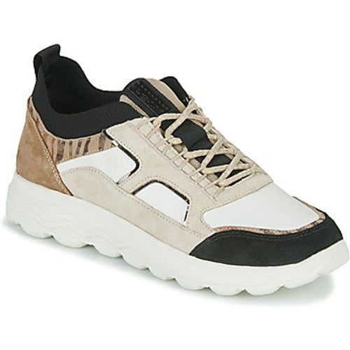 D SPHERICA C women's Shoes (Trainers) in - Geox - Modalova