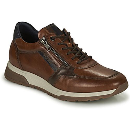 HABANA-CAMEL men's Shoes (Trainers) in - Fluchos - Modalova