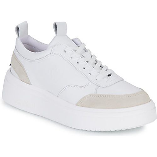 BELFAST men's Shoes (Trainers) in - Yurban - Modalova