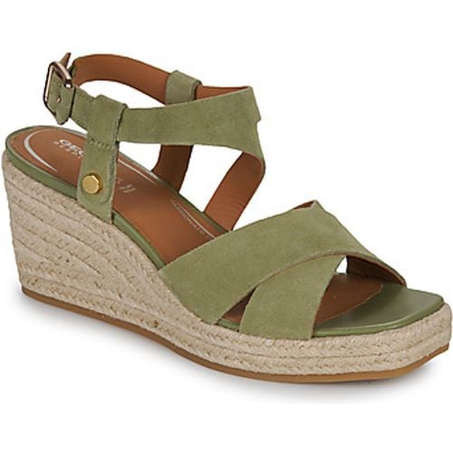 D PANAREA women's Sandals in - Geox - Modalova