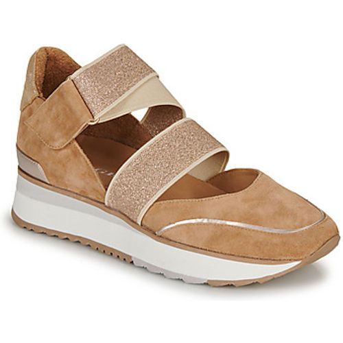 XARI women's Shoes (Trainers) in - Adige - Modalova