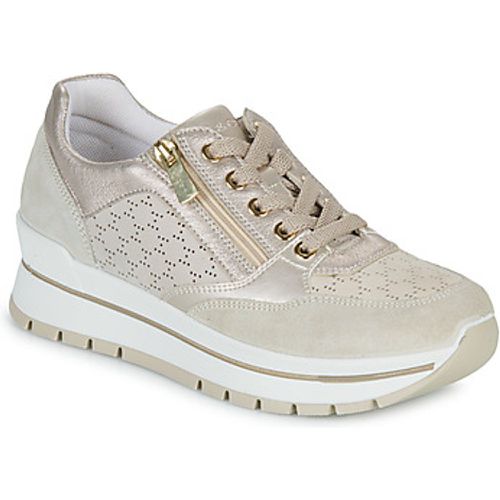 IgI&CO DONNA ANISIA women's Shoes (Trainers) in - IGI&Co - Modalova