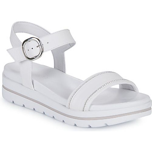 E307812D-707 women's Sandals in - NeroGiardini - Modalova