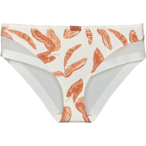 GENEROUS CLASSIC women's Knickers/panties in - Dim - Modalova