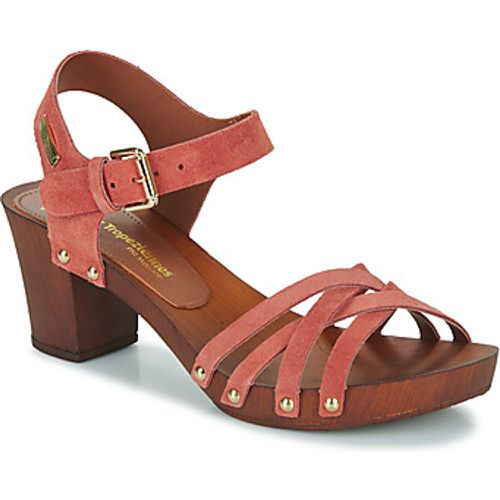 TOOPAYA women's Sandals in - Les Tropéziennes par M Belarbi - Modalova