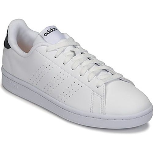 ADVANTAGE men's Shoes (Trainers) in - Adidas - Modalova