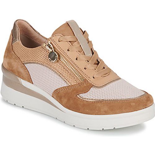 CREAM 40 women's Shoes (Trainers) in - Stonefly - Modalova