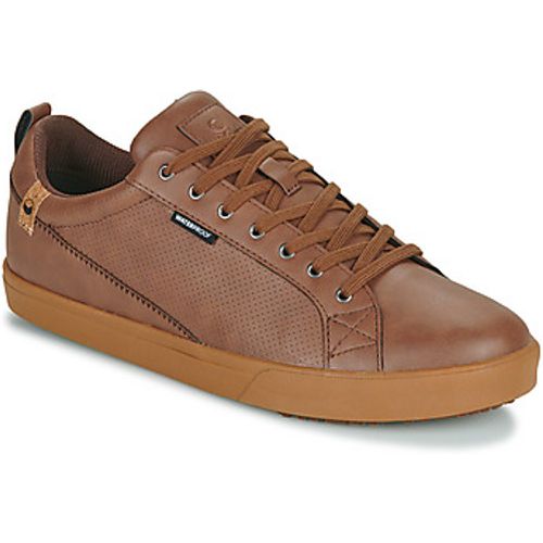 CANNON WP men's Shoes (Trainers) in - Saola - Modalova