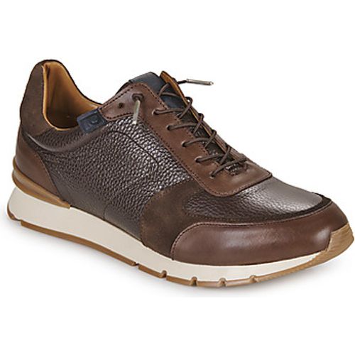 MIKE men's Shoes (Trainers) in - Pellet - Modalova