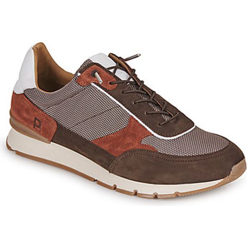 MILOU men's Shoes (Trainers) in - Pellet - Modalova