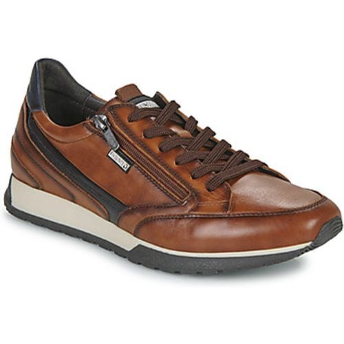 CAMBIL M5N men's Shoes (Trainers) in - Pikolinos - Modalova