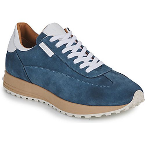 ALFA men's Shoes (Trainers) in - Pellet - Modalova