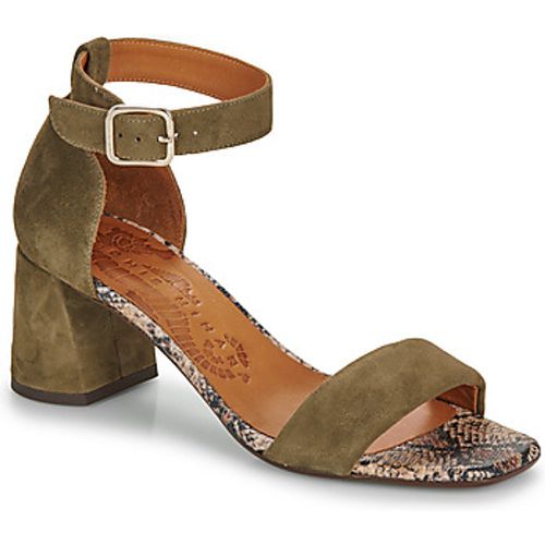 RYAN women's Sandals in - Chie Mihara - Modalova