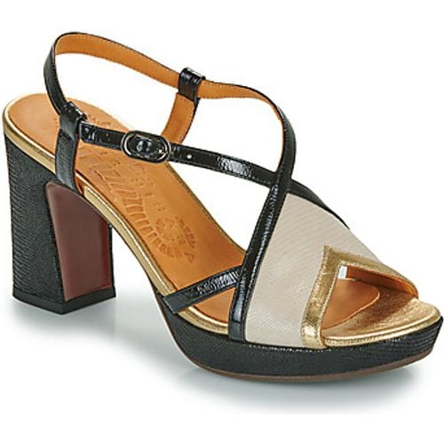 KAT women's Sandals in - Chie Mihara - Modalova