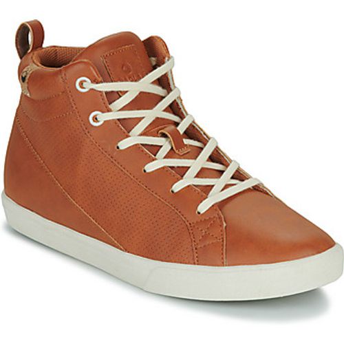 WANAKA women's Shoes (High-top Trainers) in - Saola - Modalova