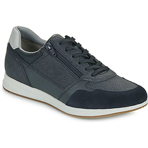 AVERY men's Shoes (Trainers) in - Geox - Modalova