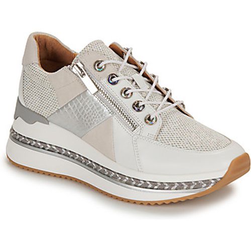 ELIRA women's Shoes (Trainers) in - Mam'Zelle - Modalova