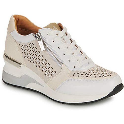 VACAN women's Shoes (Trainers) in - Mam'Zelle - Modalova