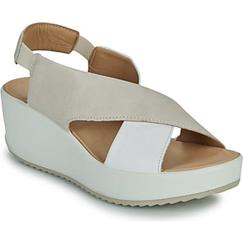 IgI&CO 5668811 women's Sandals in - IGI&Co - Modalova