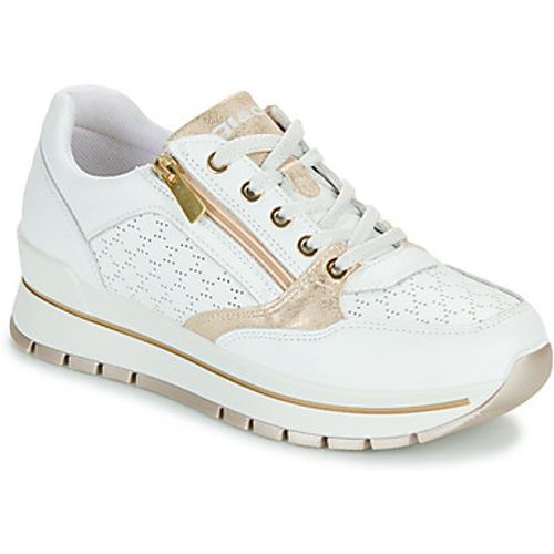 IgI&CO - women's Shoes (Trainers) in - IGI&Co - Modalova