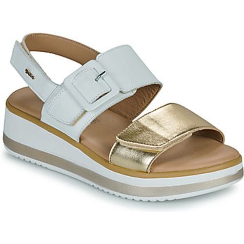 IgI&CO 5685422 women's Sandals in - IGI&Co - Modalova