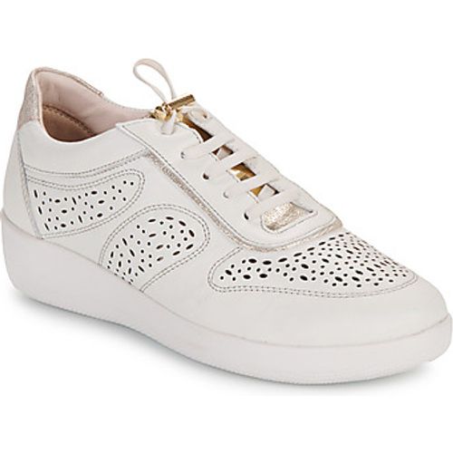 PASEO IV 28 NAPPA LTH women's Shoes (Trainers) in - Stonefly - Modalova