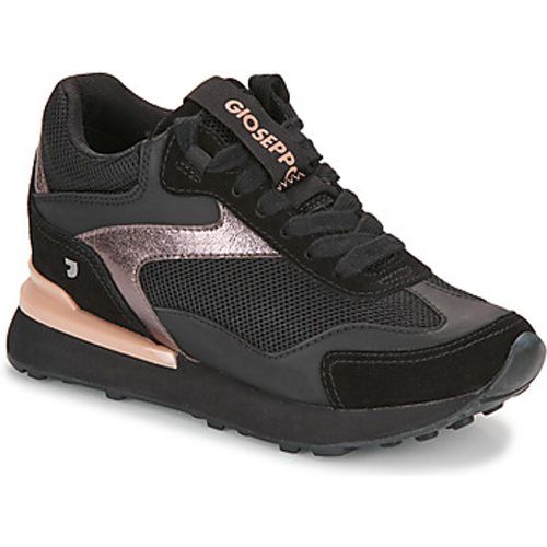 HARKANY women's Shoes (Trainers) in - Gioseppo - Modalova