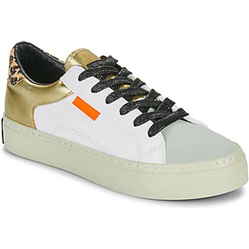 HALF MOON 367 women's Shoes (Trainers) in - D.Franklin - Modalova