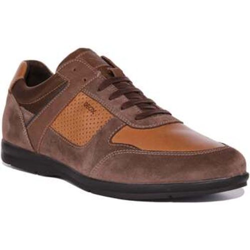 U Adrien A men's Trainers in - Geox - Modalova