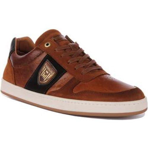 Palermo Uomo Low men's Trainers in - Pantofola D'Oro - Modalova