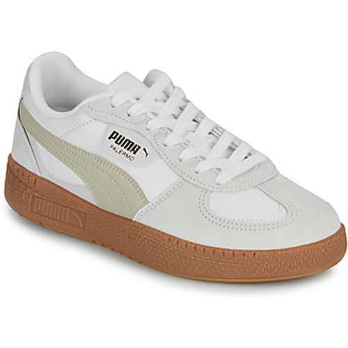 Palermo Moda Wns women's Shoes (Trainers) in - Puma - Modalova