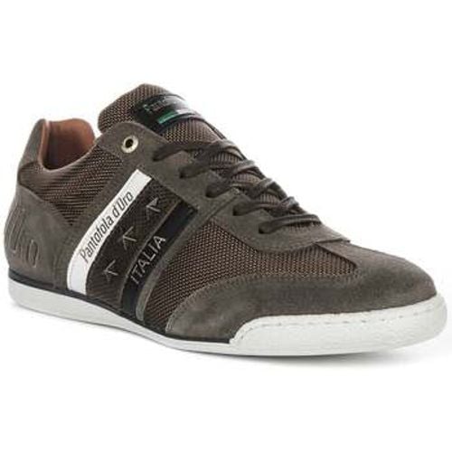 Imola N Stars men's Trainers in - Pantofola D'Oro - Modalova