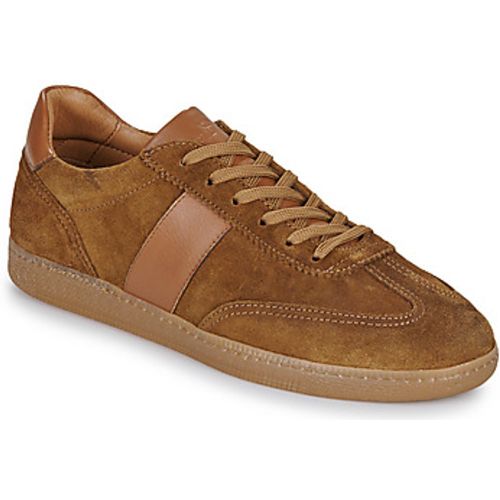 BASTIA men's Shoes (Trainers) in - Carlington - Modalova