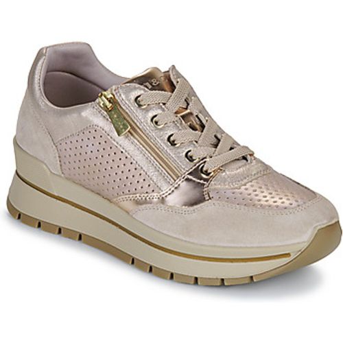 IgI&CO D.ANIKA women's Shoes (Trainers) in - IGI&Co - Modalova