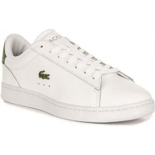 Carnaby Set men's Trainers in - Lacoste - Modalova