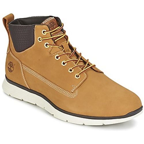 KILLINGTON CHUKKA WHEAT men's Shoes (High-top Trainers) in - Timberland - Modalova