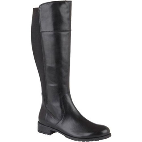Silvia women's High Boots in - Cipriata - Modalova