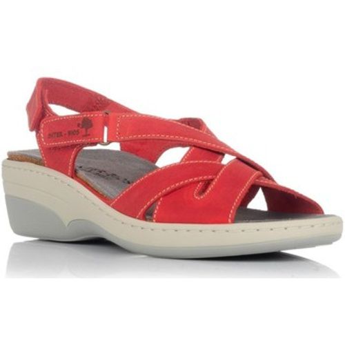 Interbios Sandalen 3017 - Interbios - Modalova