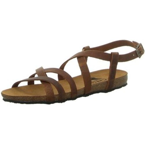 Sandalen Sandaletten 575184 ROBLE 225 - Plakton - Modalova