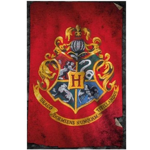 Plakate, Posters TA356 - Harry Potter - Modalova