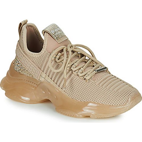 Steve Madden Sneaker MAXILLA-R - Steve Madden - Modalova