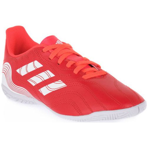 Fussballschuhe COPA SENSE 4 IN J - Adidas - Modalova