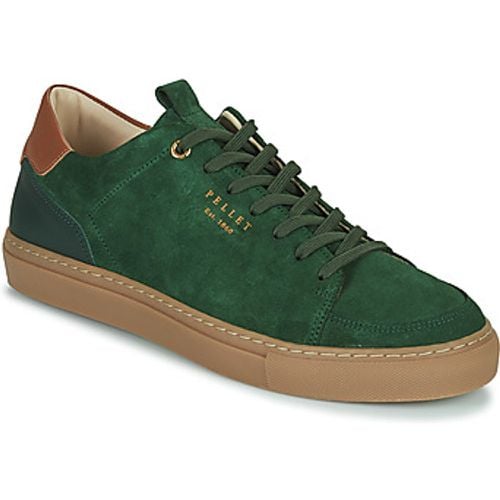 Pellet Sneaker SIMON - Pellet - Modalova